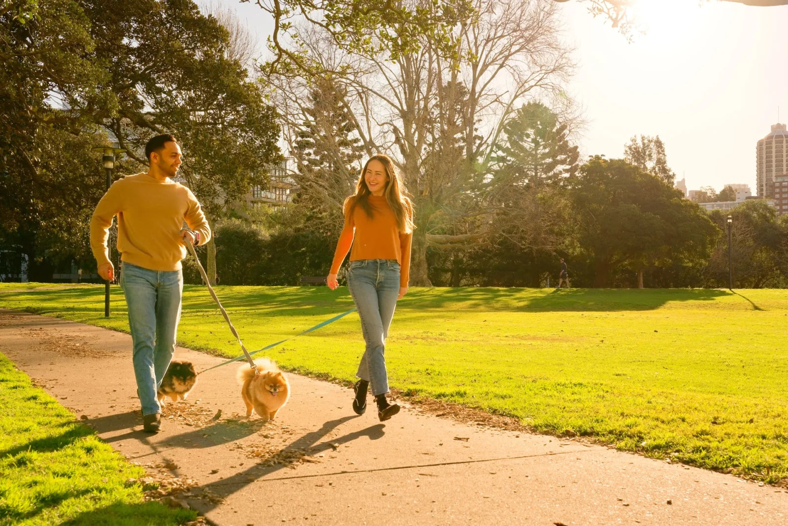 The Wellaroo family — two humans and their Pomeranians, Tyson and Tami
